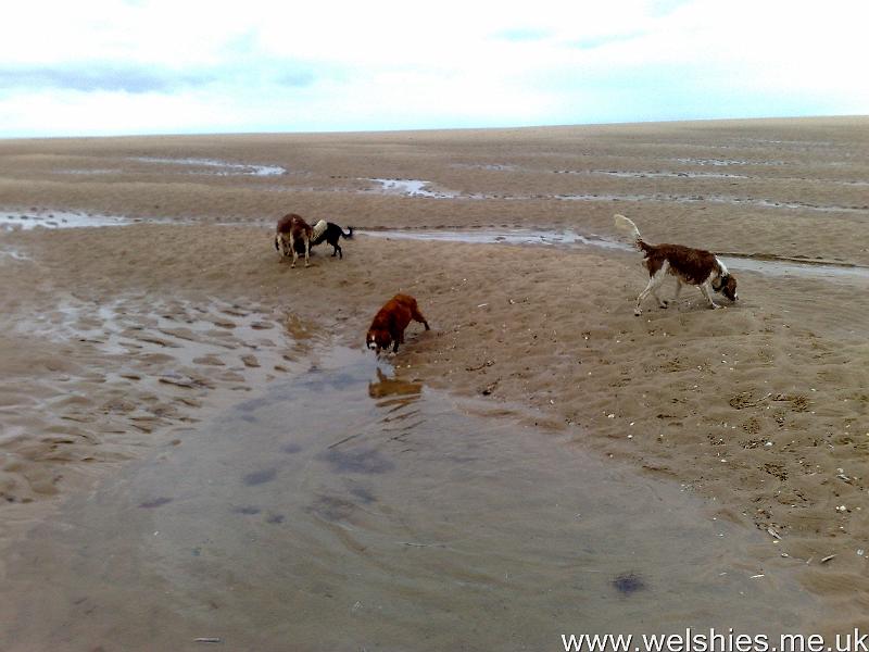 2011-09-09 04.jpg